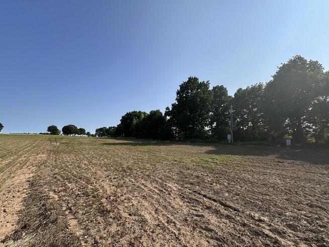 Działka w Radzanku–Gm.Maszewo war.zabud.