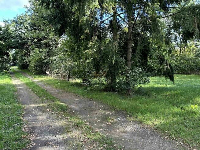 Działka inwestycyjna Domasław gm. Kobierzyce