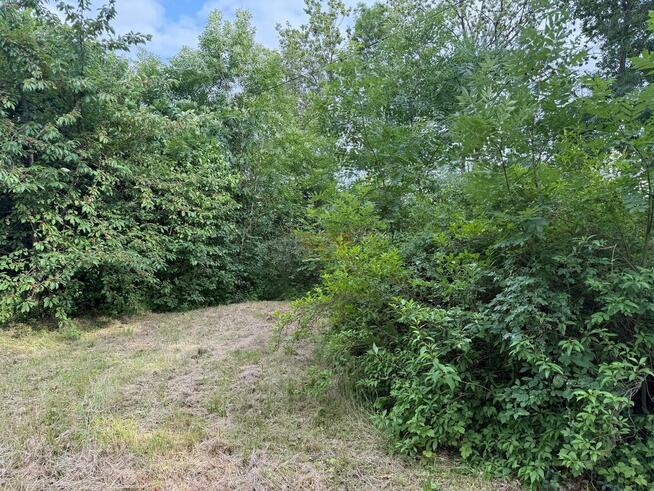 Działka inwestycyjna Domasław gm. Kobierzyce