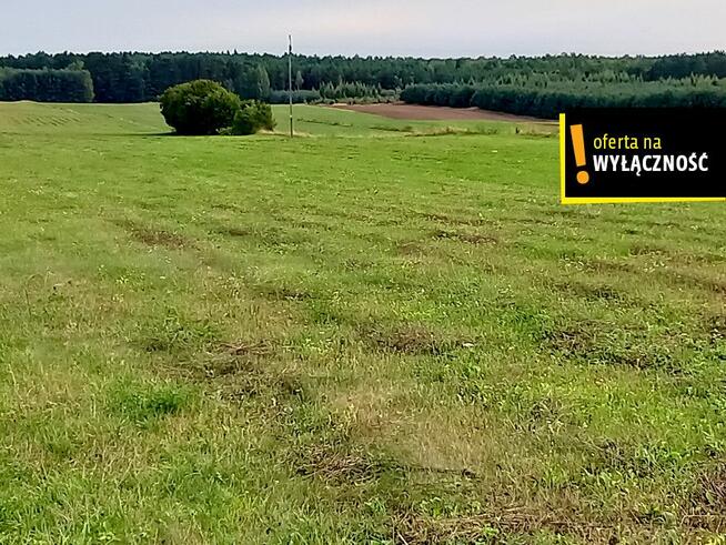 Działka siedliskowa Celiny gm. Raków,