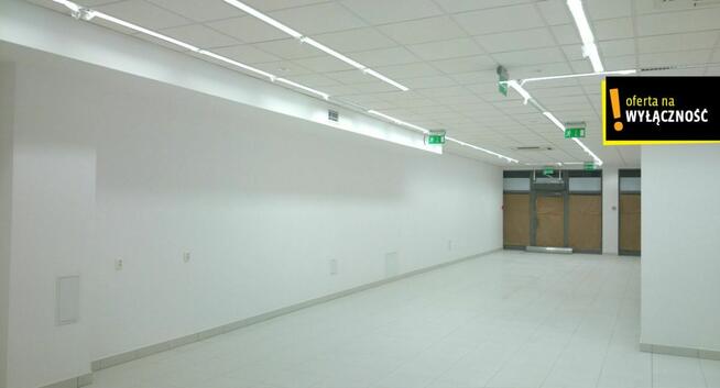 Lokal użytkowy Staszów, Opatowska