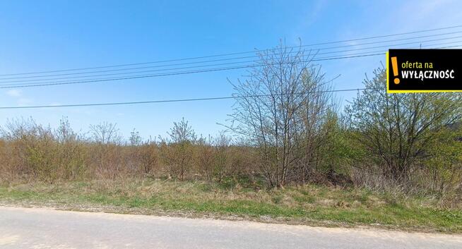 Działka budowlana Skronina gm. Białaczów,