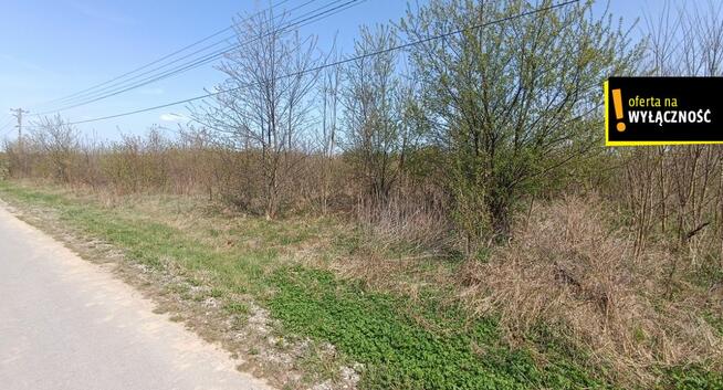 Działka budowlana Skronina gm. Białaczów,