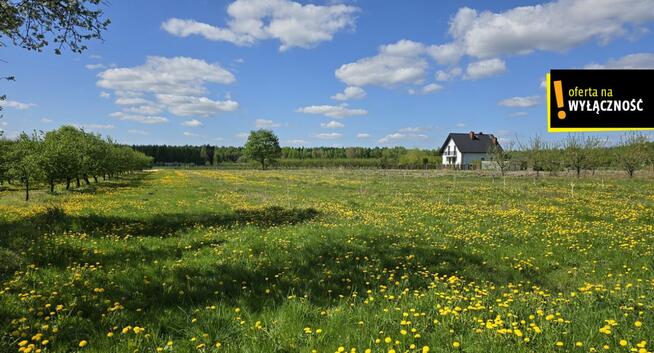Dom Zofiówka gm. Gnojno,