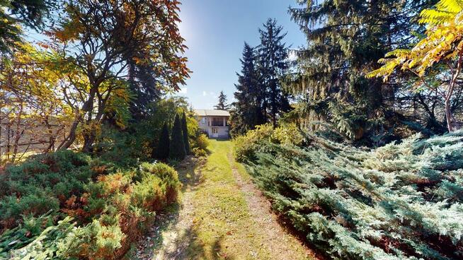 Wygodny dom zatopiony w zieleni