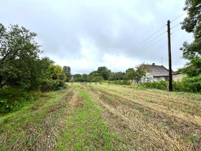 Działka inwestycyjna Drogomil gm. Bytom Odrzański,