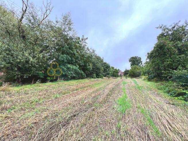 Działka inwestycyjna Drogomil gm. Bytom Odrzański,