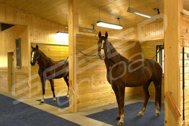 Tymczasowy Chodnik/ Płyty Modułowe 120x80x3