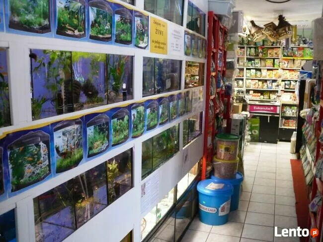 Sklep Zoologiczny VIDEOZOO Augustów rabat -10% na wszystko!