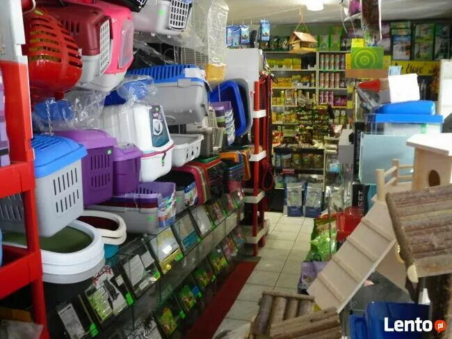 Sklep Zoologiczny VIDEOZOO Augustów rabat -10% na wszystko!