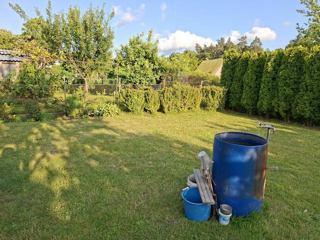 Działka Rodo Krokus