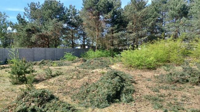 Usługi glebogryzarka Międzyrzecz Sulechów Nowa Sól Żary