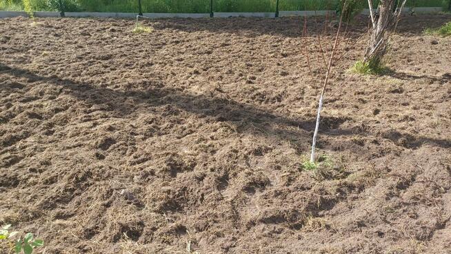 Usługi glebogryzarka Międzyrzecz Sulechów Nowa Sól Żary