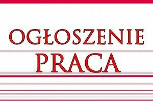 Asystent / Asystentka ds. administracyjno - biurowych