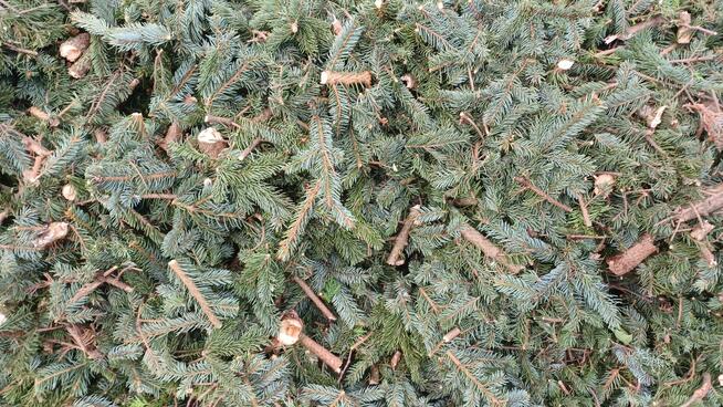 Usługi glebogryzarka Międzyrzecz Sulechów Nowa Sól Żary