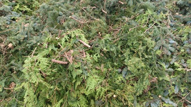 Usługi glebogryzarka Międzyrzecz Sulechów Nowa Sól Żary