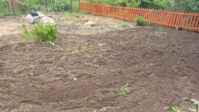 Usługi glebogryzarka Międzyrzecz Sulechów Nowa Sól Żary