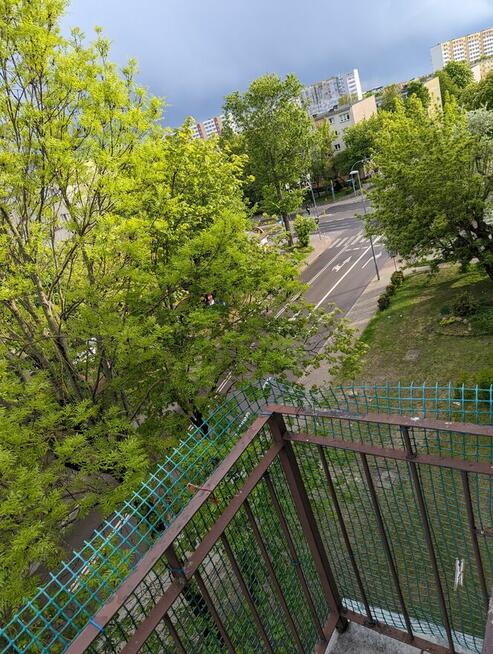 2 pokoje bezposrednie, ul.Antoniukowska42