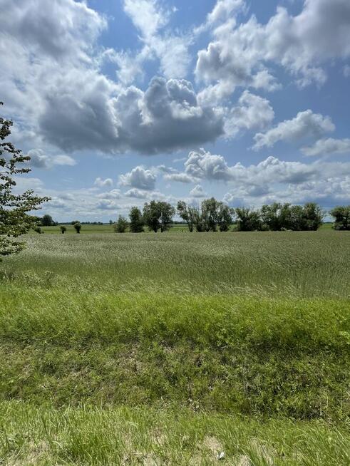 Działka mieszkaniowo-usługowa (MU) z MPZP 11,7ar