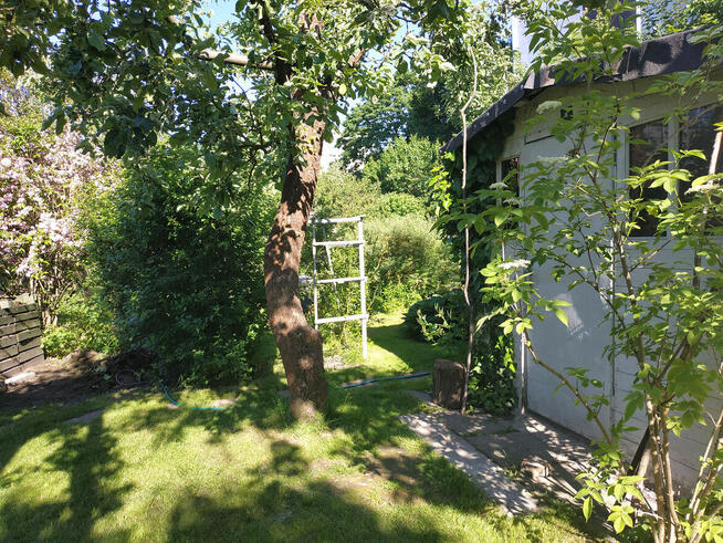 Odstąpię prawo do działki ROD