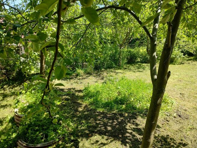 Działka ROD Przyszłość