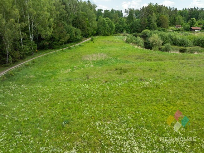 Działka w otoczeniu lasu, widok na staw