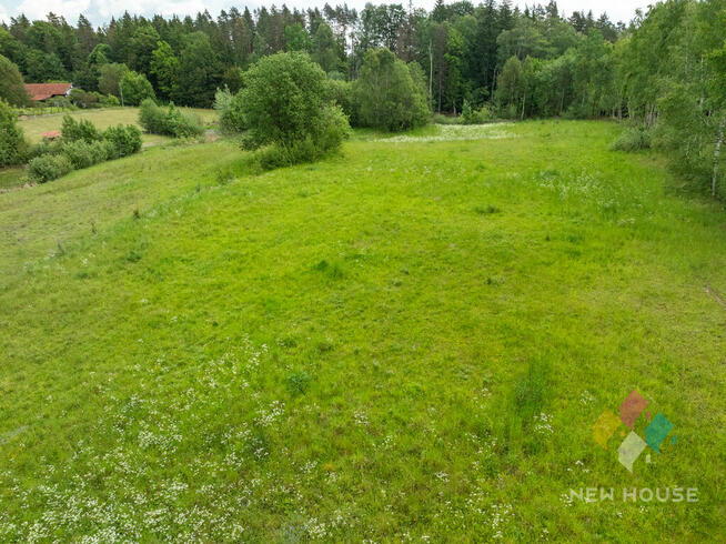 Działka w otoczeniu lasu, widok na staw