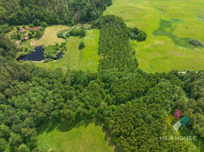 Działka w otoczeniu lasu, widok na staw