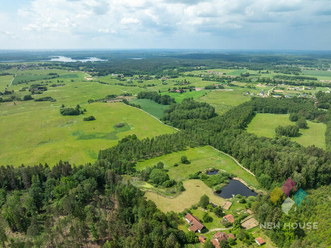 Działka w otoczeniu lasu, widok na staw
