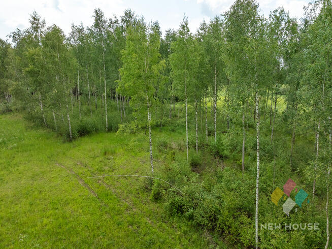 Działka w otoczeniu lasu, widok na staw