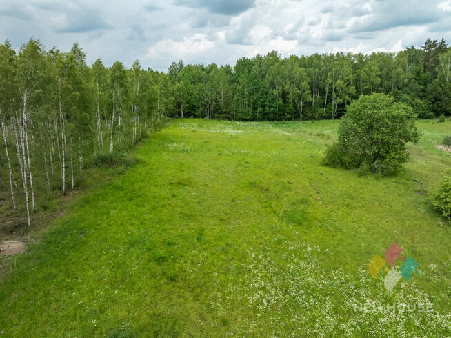 Działka w otoczeniu lasu, widok na staw