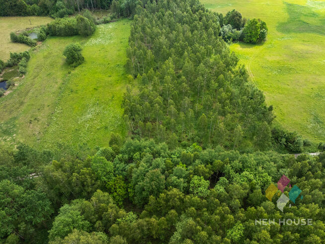 Działka w otoczeniu lasu, widok na staw