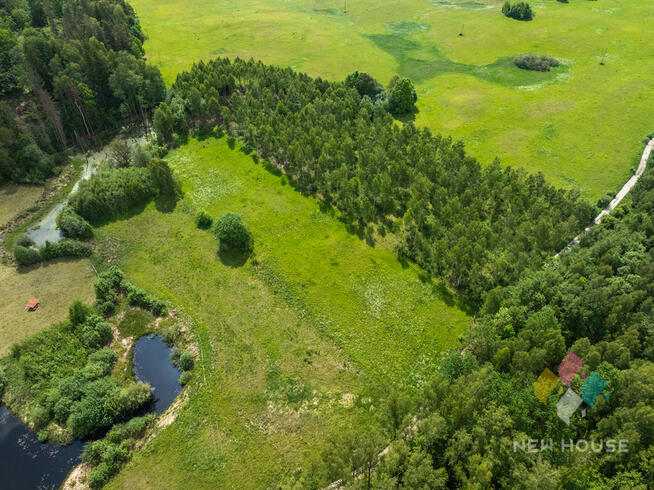 Działka w otoczeniu lasu, widok na staw