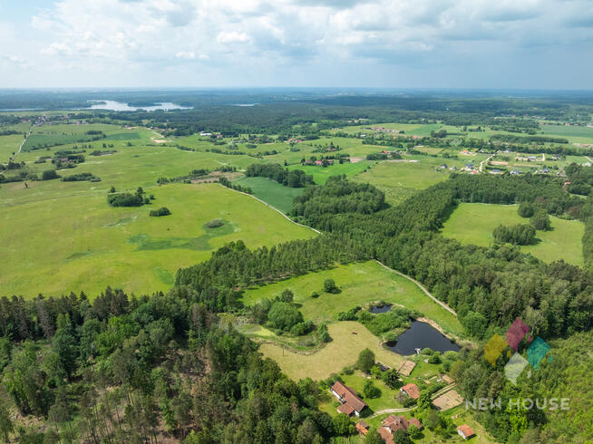 Działka w otoczeniu lasu, widok na staw