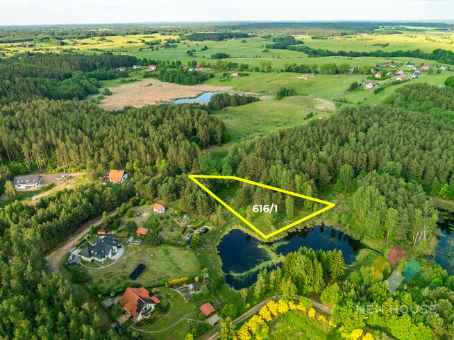 Działka w otoczeniu lasu, widok na staw