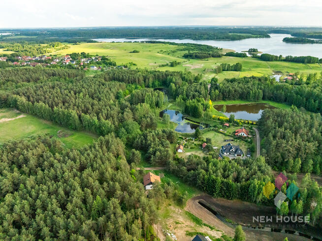 Działka w otoczeniu lasu, widok na staw