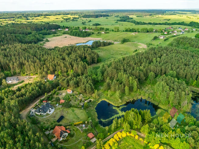 Działka w otoczeniu lasu, widok na staw