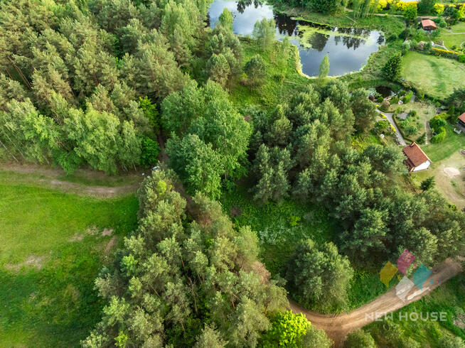 Działka w otoczeniu lasu, widok na staw