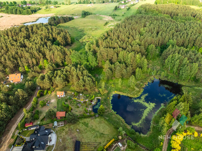 Działka w otoczeniu lasu, widok na staw
