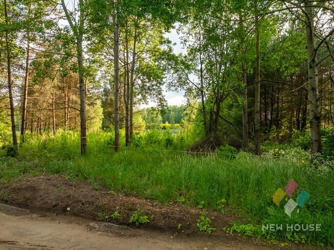 Działka w otoczeniu lasu, widok na staw