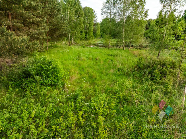 Działka w otoczeniu lasu, widok na staw