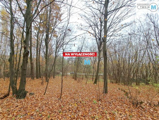 Działka Chęciny Lelusin