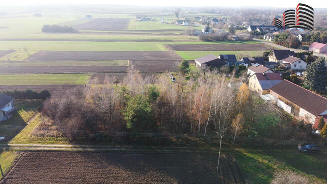 Działka budowlana Oleśniki gm. Trawniki,