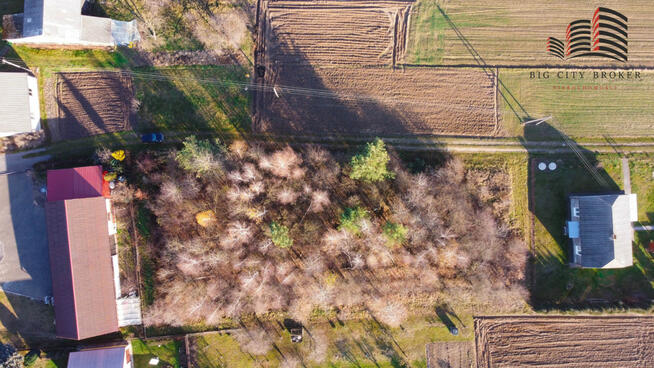 Działka budowlana Oleśniki gm. Trawniki,