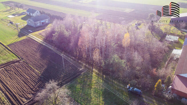 Działka budowlana Oleśniki gm. Trawniki,