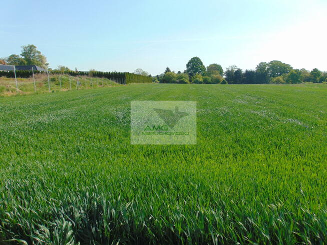 Działka siedliskowa Kiełczyn gm. Dzierżoniów