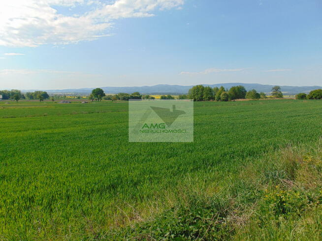 Działka siedliskowa Kiełczyn gm. Dzierżoniów