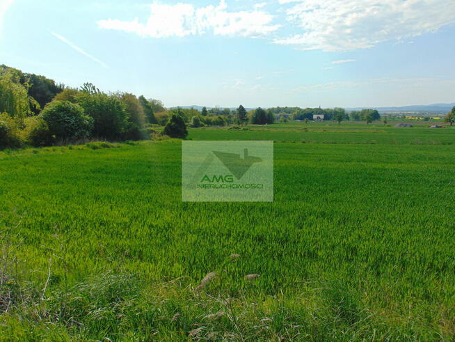 Działka rolno-budowlana Kiełczyn gm. Dzierżoniów
