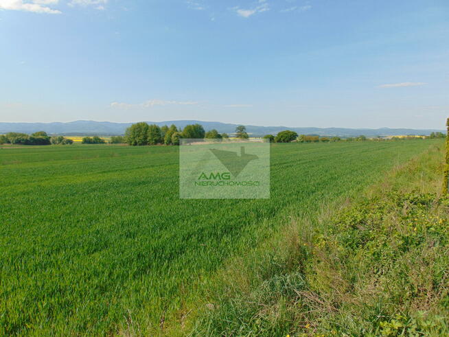 Działka rolno-budowlana Kiełczyn gm. Dzierżoniów