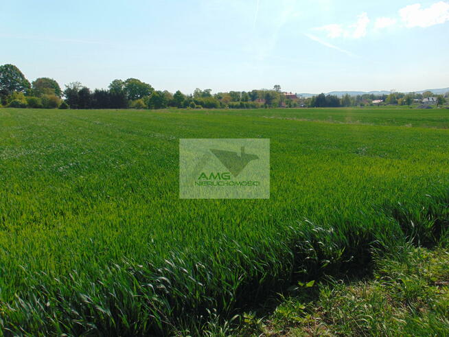 Działka rolno-budowlana Kiełczyn gm. Dzierżoniów